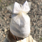 Extremely stylish girl beanie with a grid FASHIONISTA white/golden